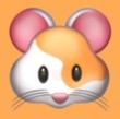 WWW,av561·COM网站APP